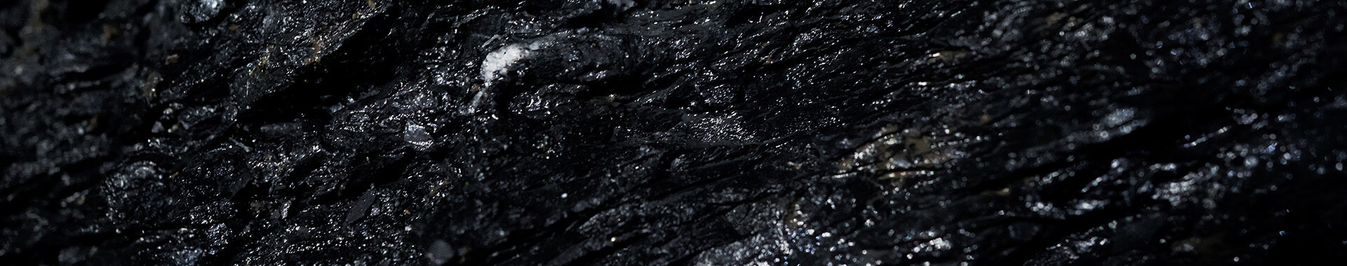 Forcit annual report web rock surface front page