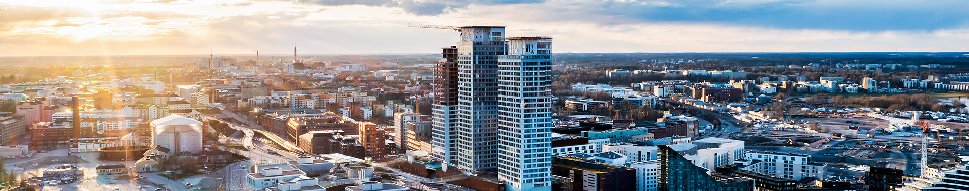 FORCIT-Group-Business-unit-development-2024