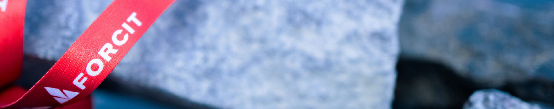 FORCIT Annual report rock 2025